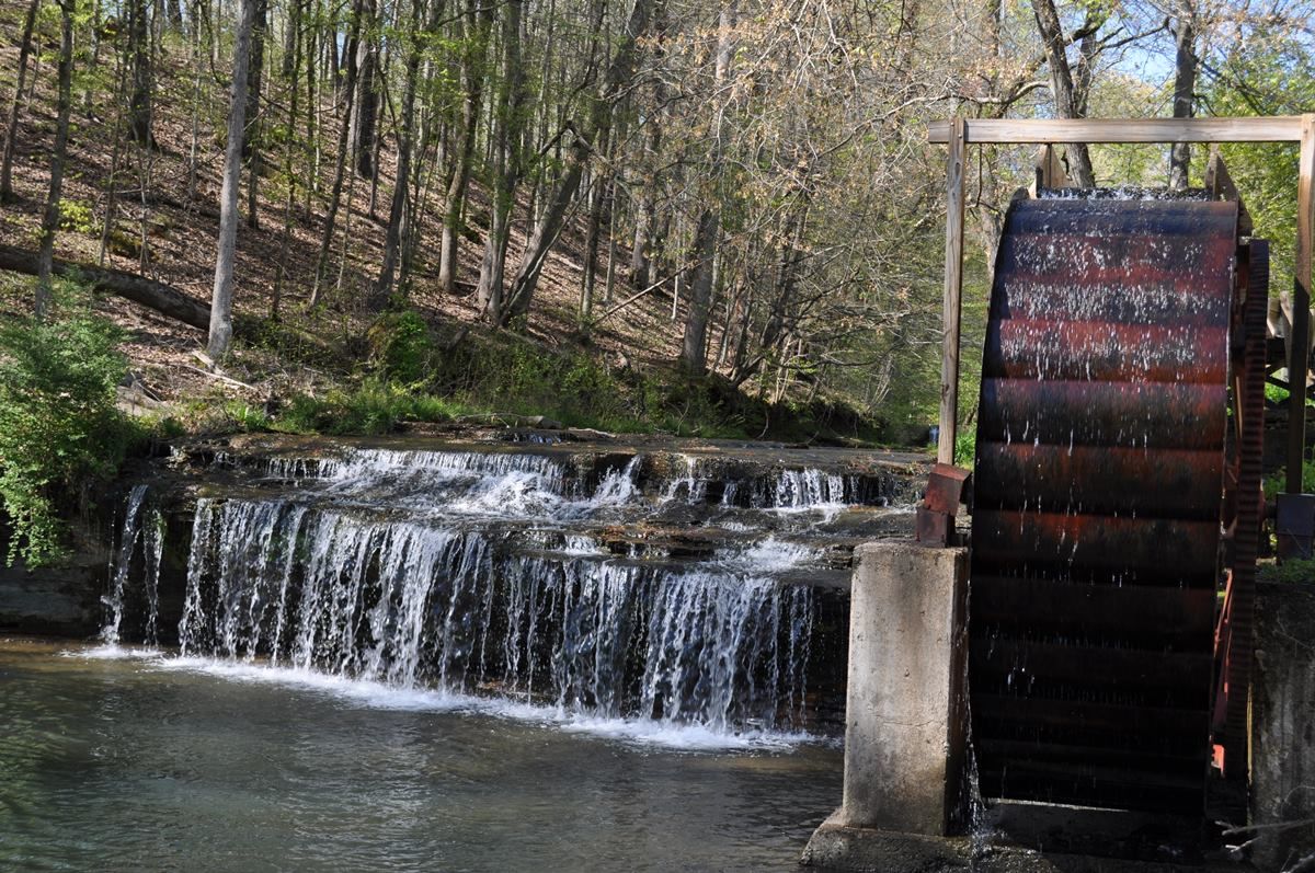 Photo of beautiful local Athens-Limestone county pondscape