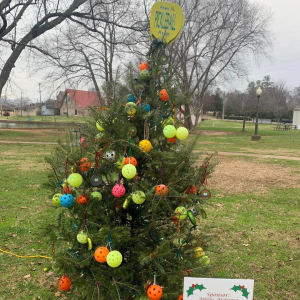 Athens Pickleball Association Christmas Tree '22