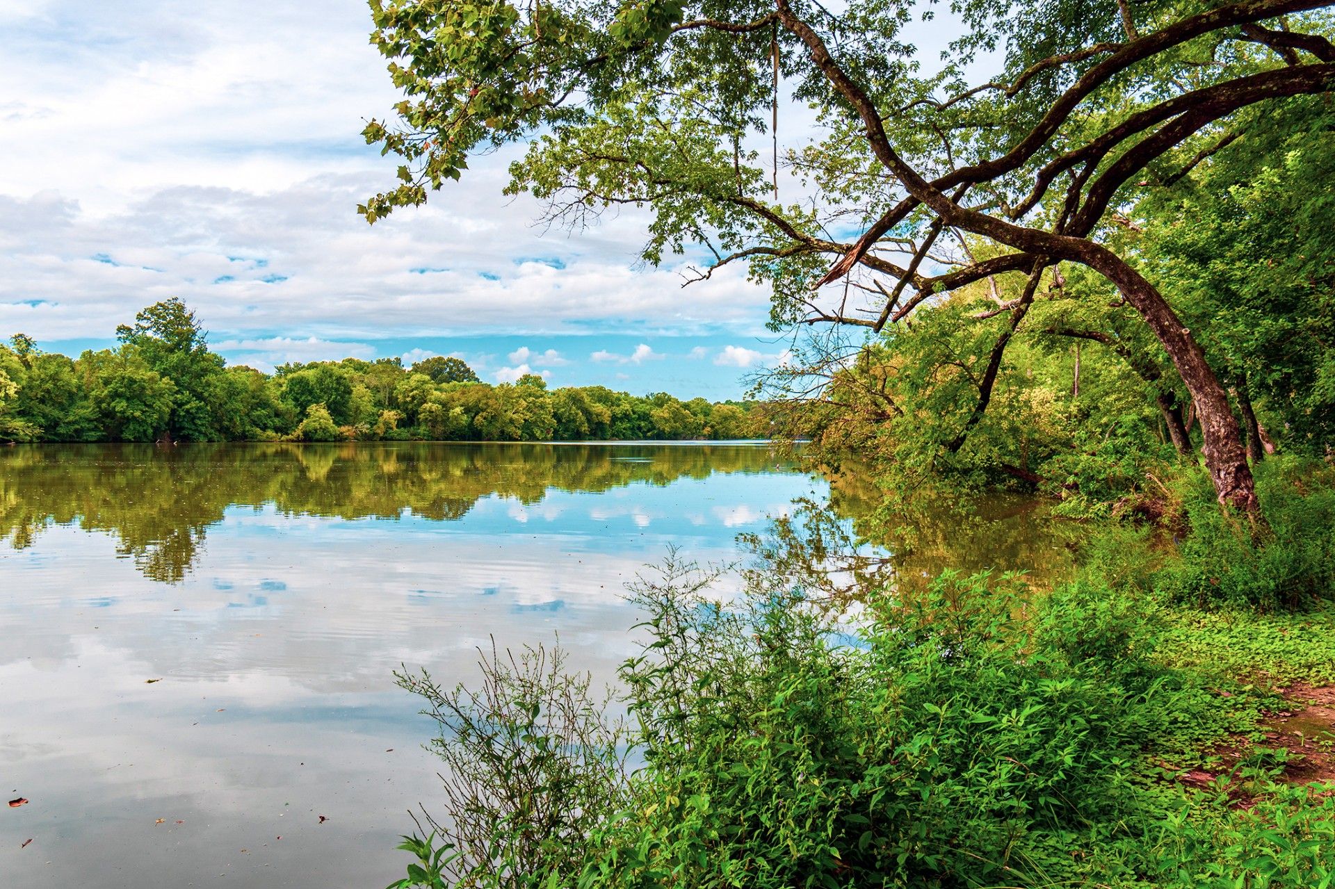 Photo of beautiful local Athens-Limestone county pondscape